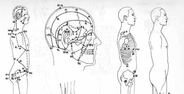 Ricerca medica Quaia v2