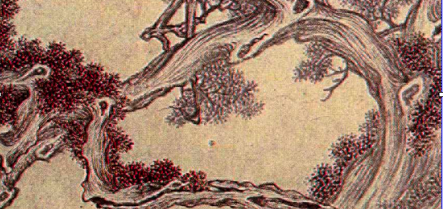 yu ping