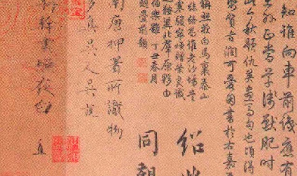 Interpretazione del Nei jing fig