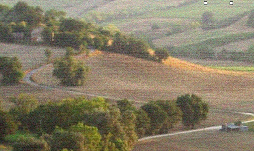 Il trattamento del dolore muscolo scheletrico